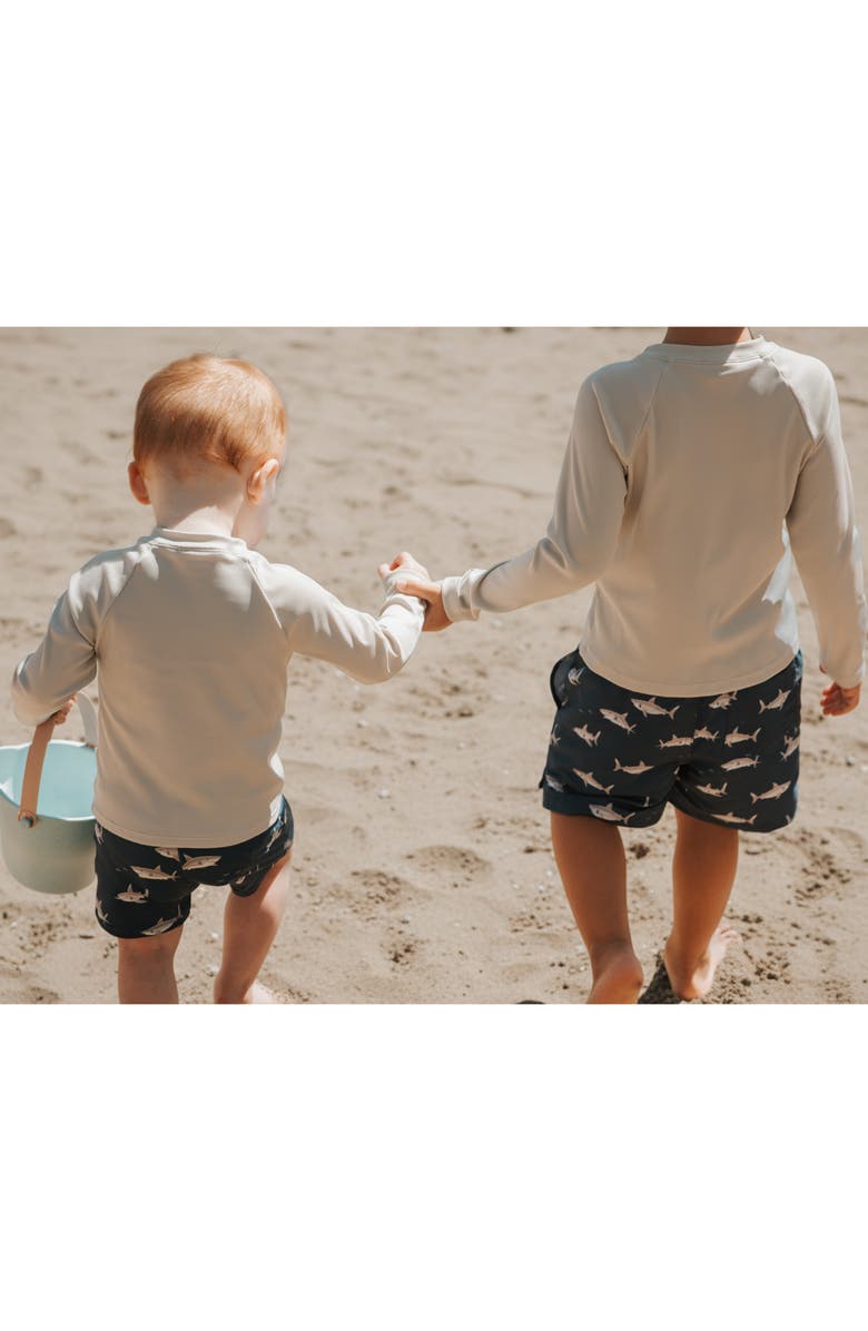 Petit Lem Long Sleeve Rashguard & Shorts Set, Alternate, color, Light Grey