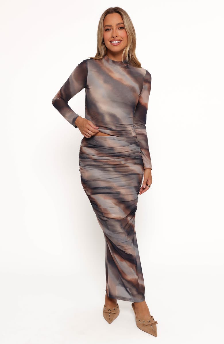 Petal & Pup Zallocco Ruched Mesh Maxi Skirt, Alternate, color, Ombre Stripe