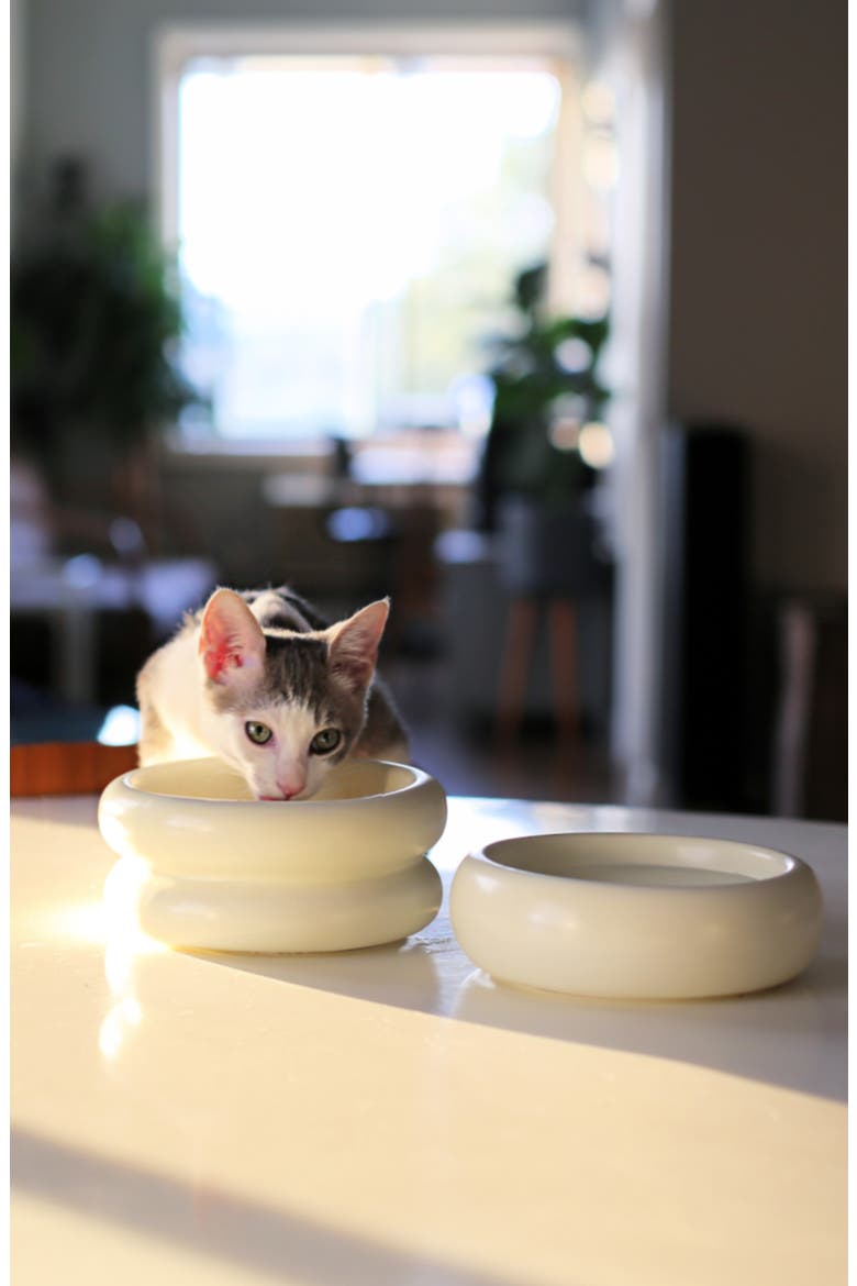 Halo Elevated Cat Bowl, Alternate, color, WHITE