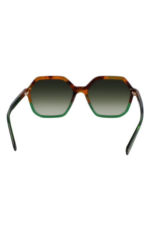 Longchamp Heritage 56mm Gradient Modified Rectangular Sunglasses In Brown Green Havana/green