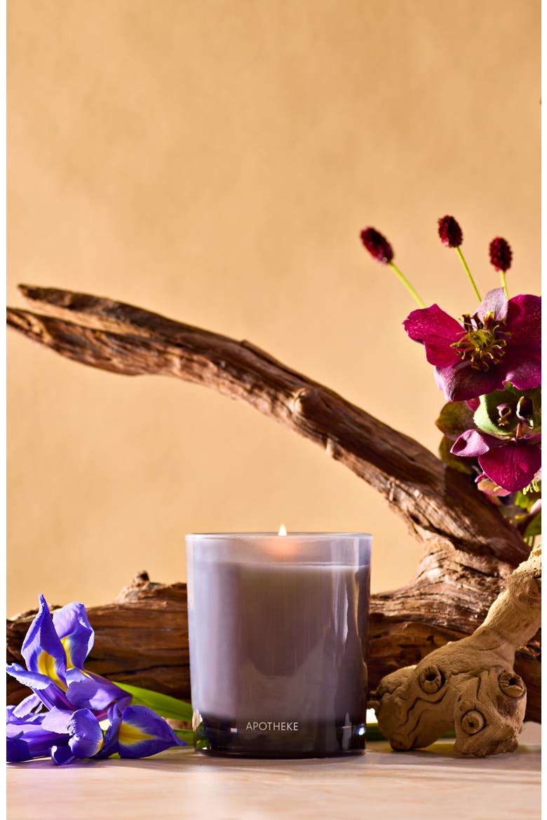 Black Iris Oak Petite Scented Candle, Alternate, color, NO COLOR