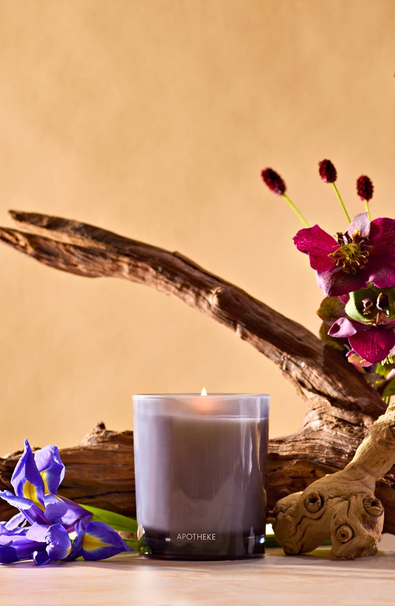 APOTHEKE Black Iris Oak Petite Scented Candle, Alternate, color, 