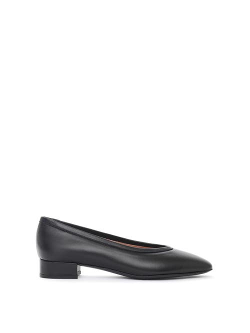 Maguire Torza Ballerina