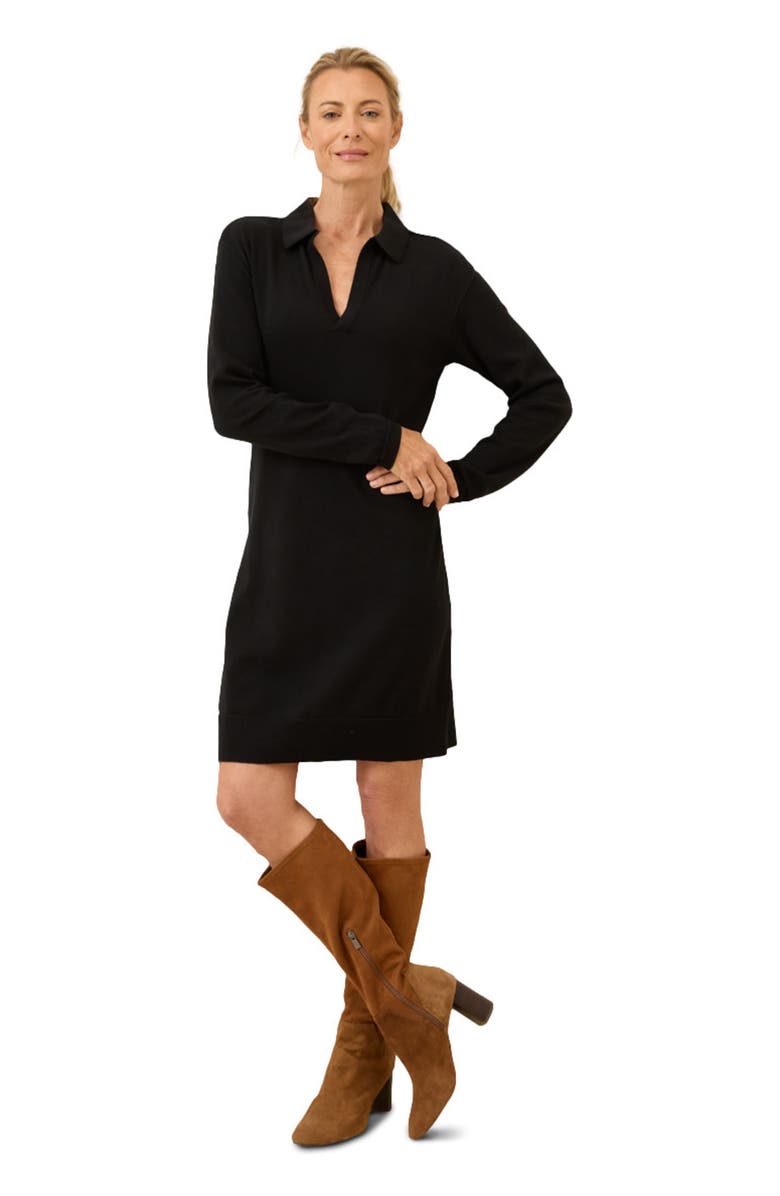 Pact Organic Cotton Classic Fine Knit Collared Sweater Dress, Main, color, 