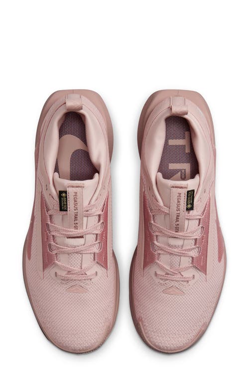 Nike Pegasus Trail 5 Gore-tex Sneakers In Pink In Pink Oxford/stardust