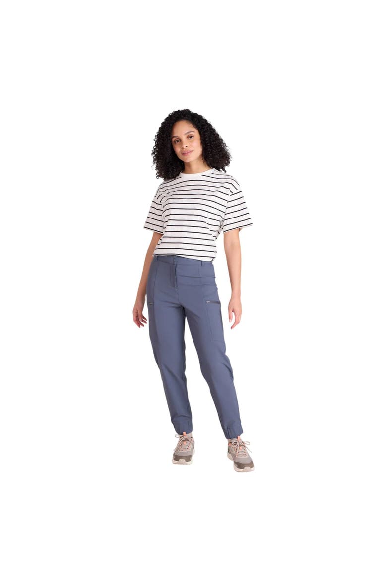 Ridge Barrel Hiking Trousers, Alternate, color, Navy
