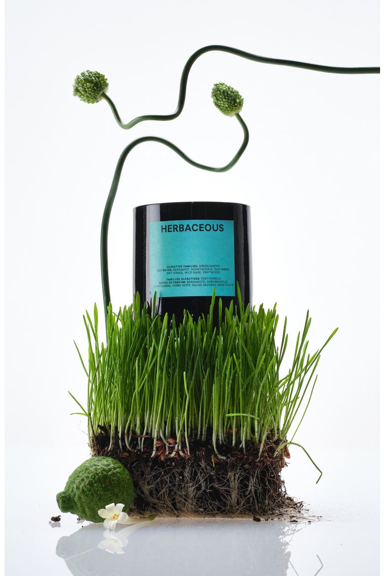 Herbaceous Candle, Alternate, color, NO COLOR
