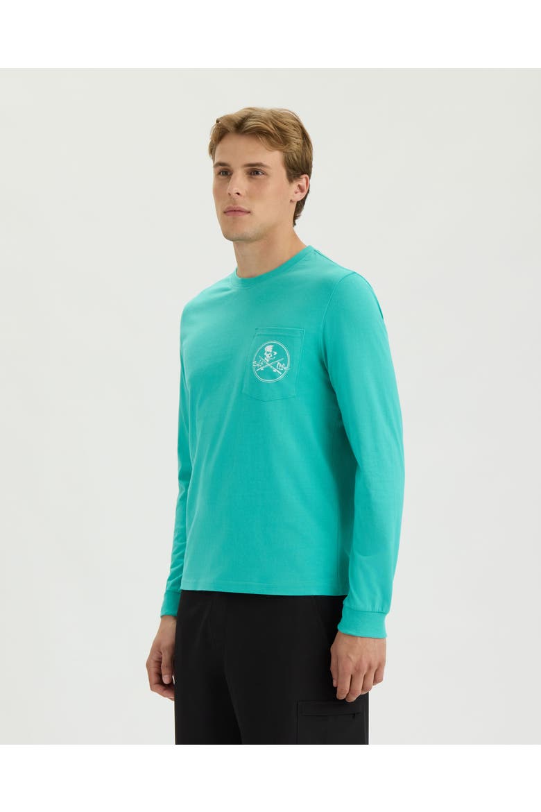 Skull and Poles Long Sleeve Tee, Alternate, color, OCEAN SPRAY