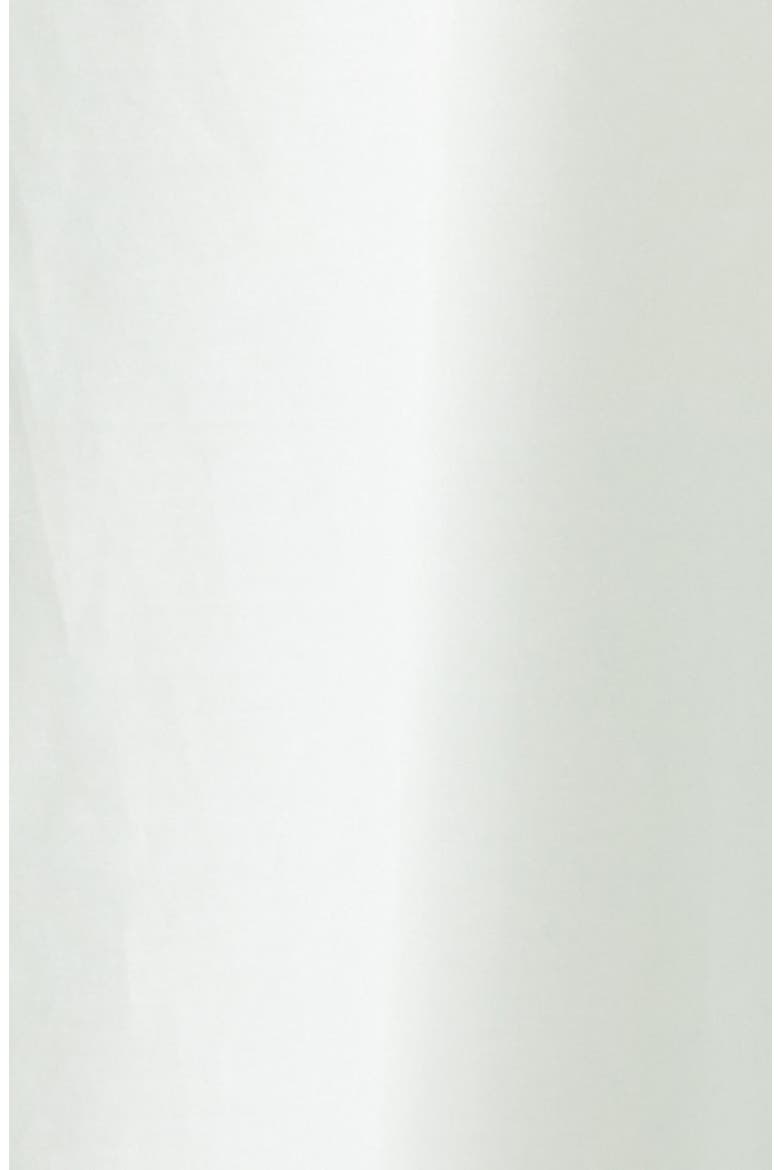 Liao Pleated Neck Sleeveless Cotton & Silk Voile Top, Alternate, color, MIST