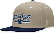 TOP OF THE WORLD Men's Top of the World Khaki/Navy Penn State Nittany Lions Land Snapback Hat