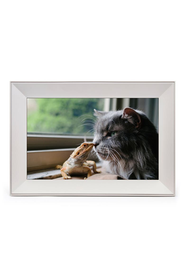Aura Buddy Digital Photo Frame, Main, color, BISCUIT