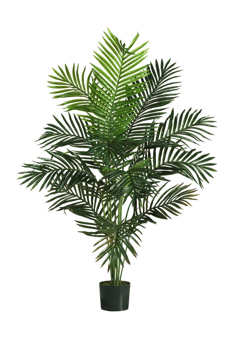 NEARLY NATURAL 5ft. Paradise Palm, Main, color, 