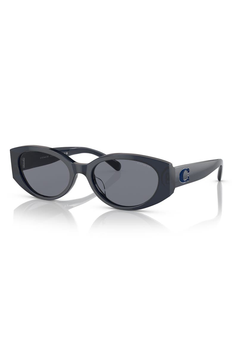 COACH 54mm Gradient Oval Sunglasses, Alternate, color, Transparent Blue