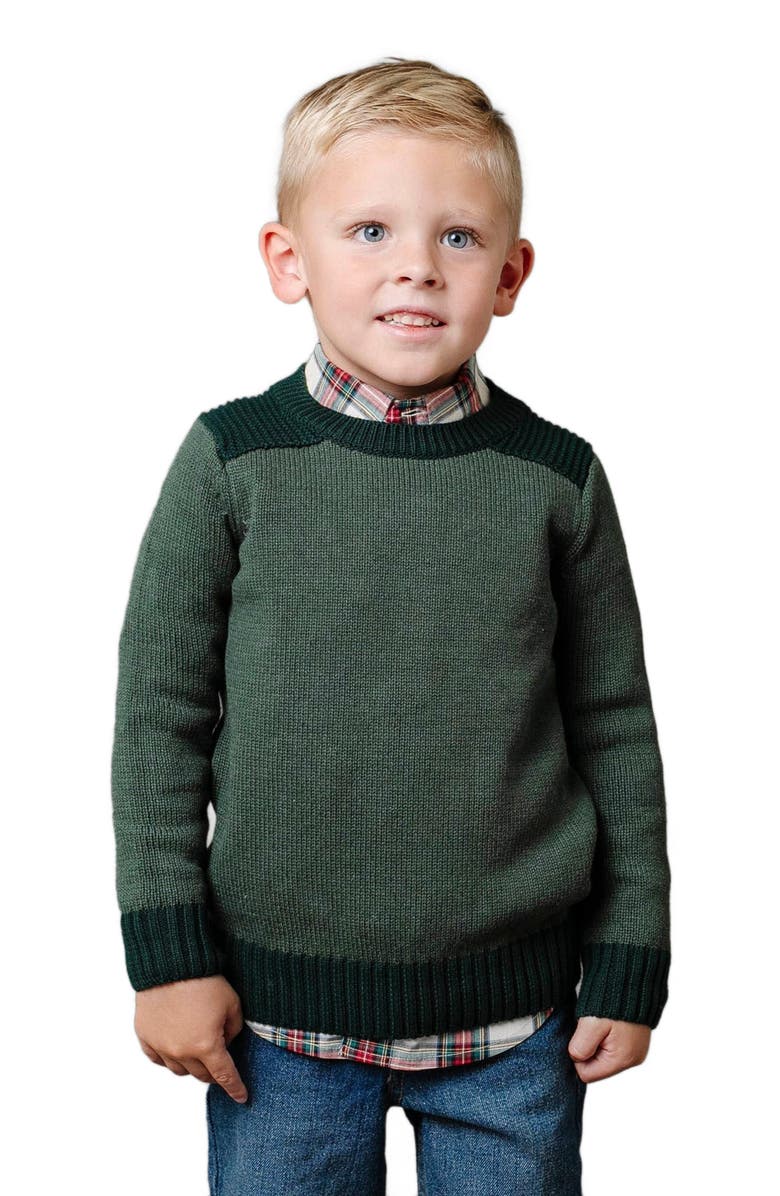 Hope & Henry Boys' Organic Shoulder Detail Crew Neck Sweater, Kids, Main, color, 