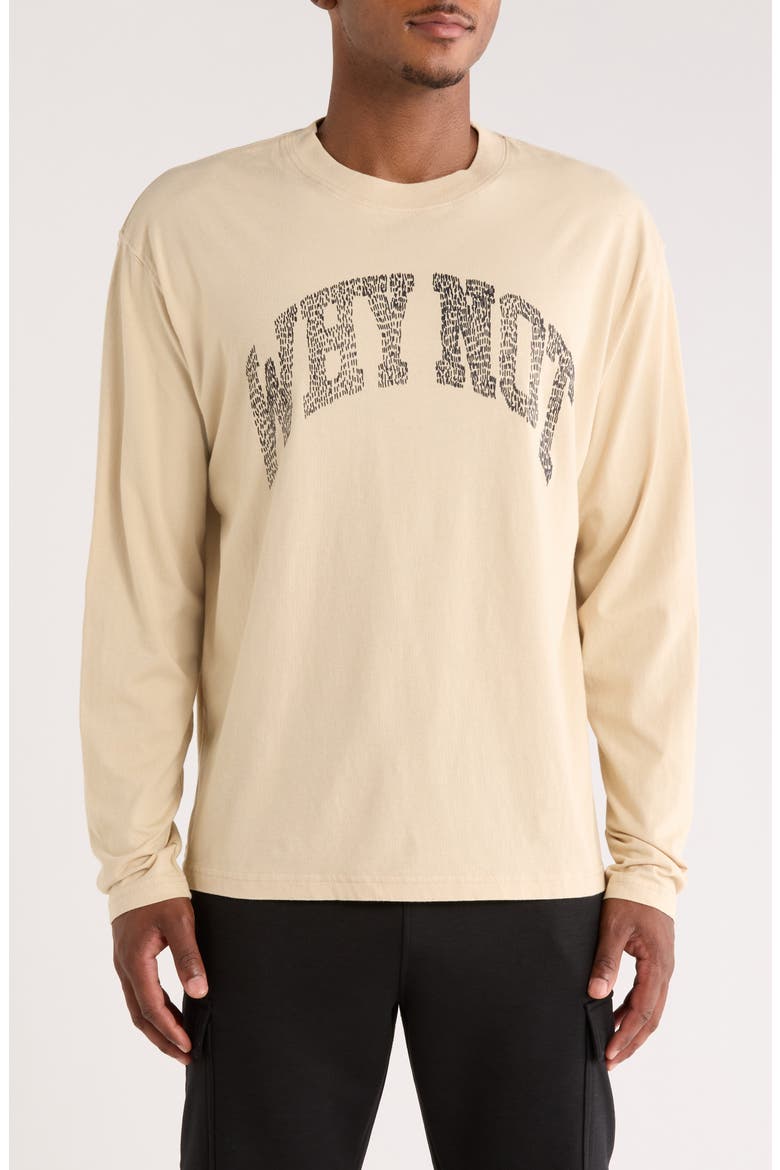 Why Not Long Sleeve Graphic T-Shirt, Main, color, SAND