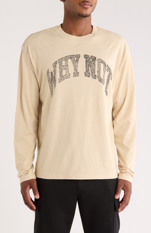 Honor The Gift Why Not Long Sleeve Graphic T-shirt In Neutral