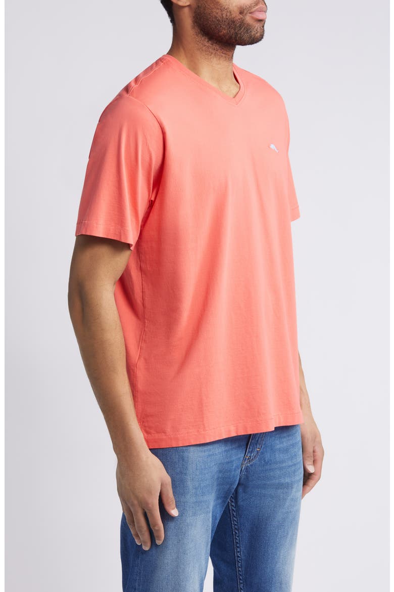 New Bali Skyline V-Neck T-Shirt, Alternate, color, DUBARRY CORAL