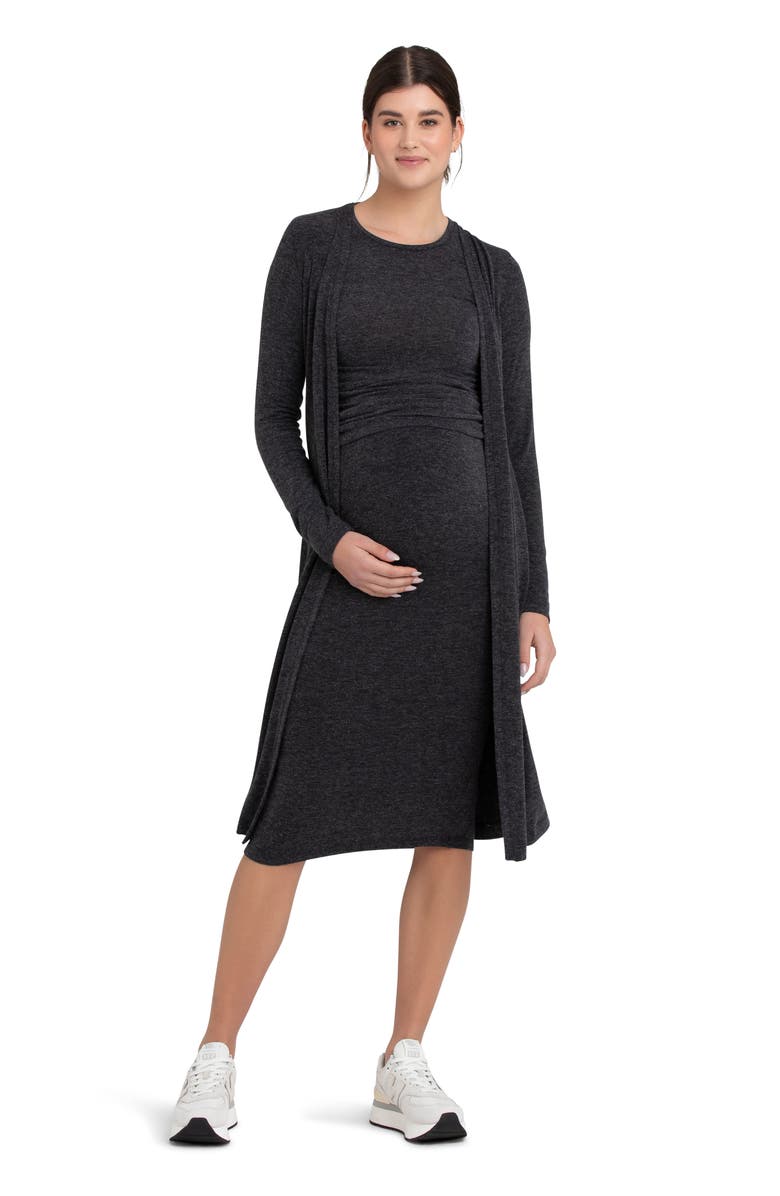 Ripe Maternity Jess Knit Maternity Skirt, Alternate, color,