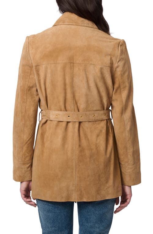 Bernardo Belted Suede Jacket In Brick