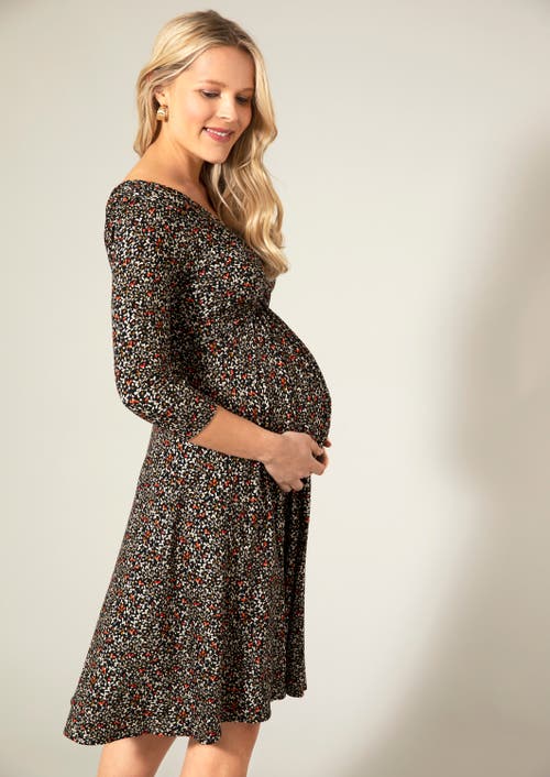 Tiffany Rose Maternity Willow Maternity Dress In Multi