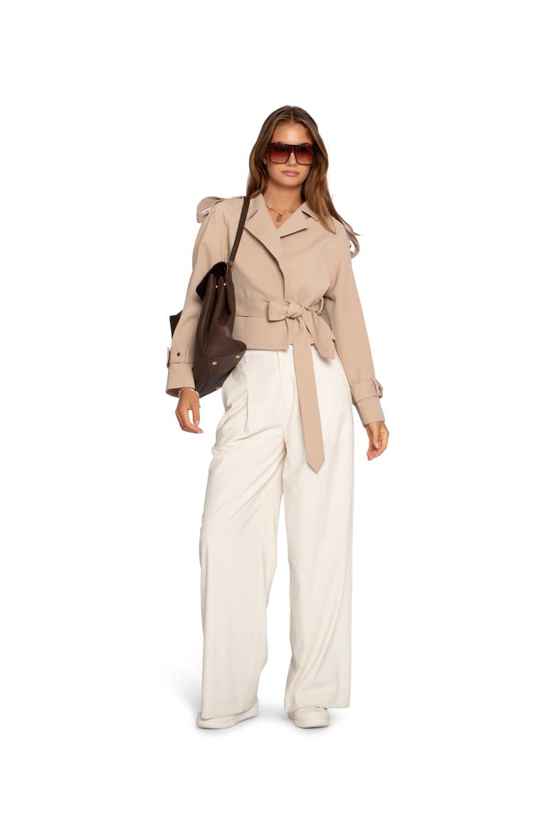 Fast Car Cropped Trench, Alternate, color, Light Beige