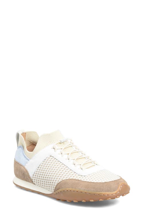 Børn Aire Sneaker in Taupe Knit Combo  product