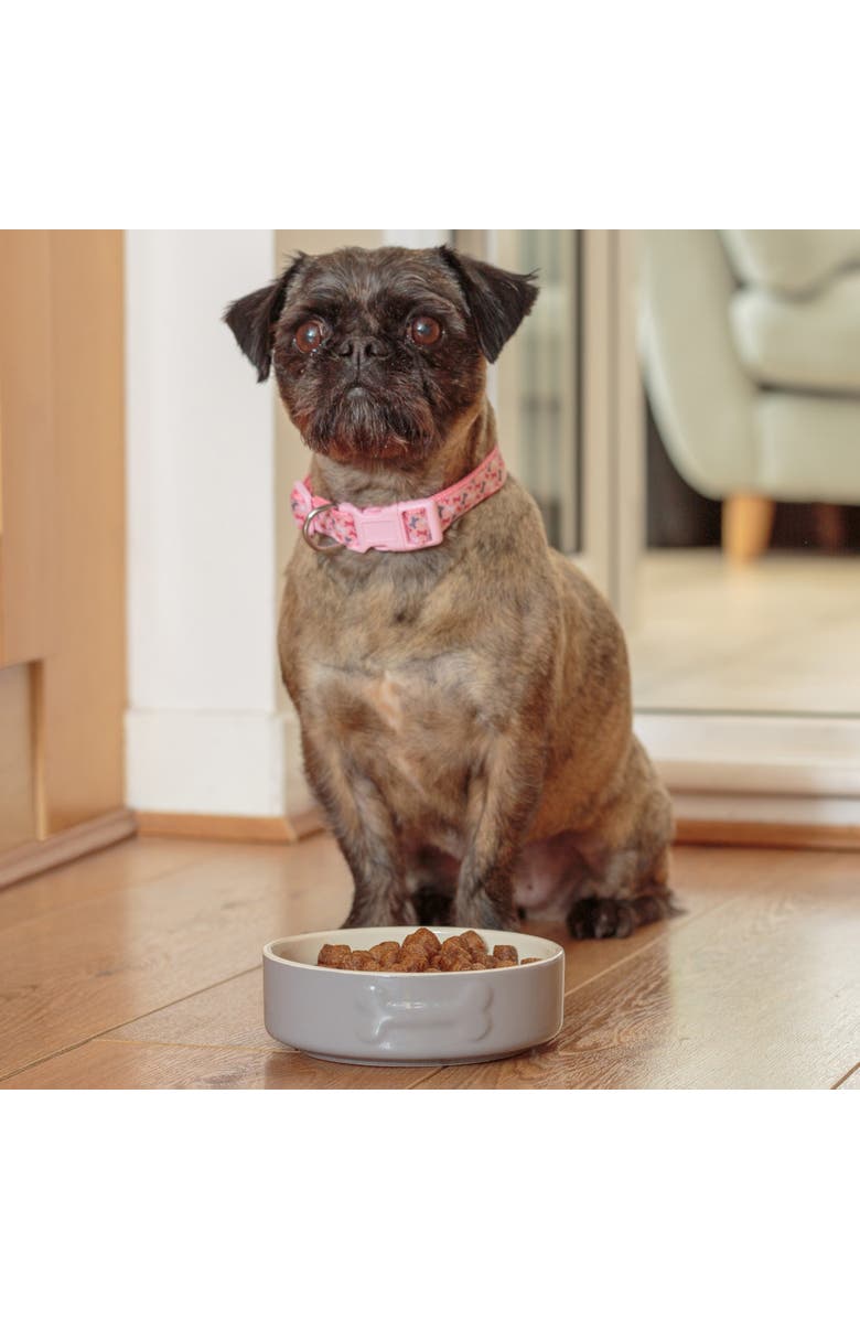 MASON CASH Embossed 17oz Bone Dog Food and Water Bowl, Alternate, color, Gray