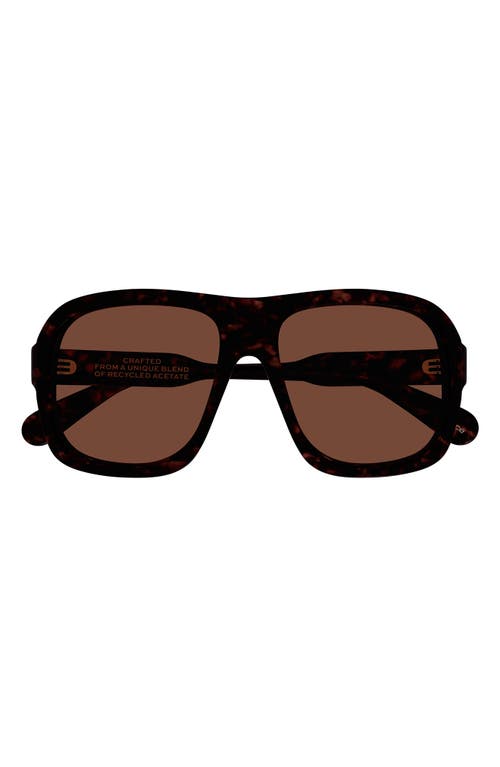 Chloé 58mm Pilot Sunglasses In Brown