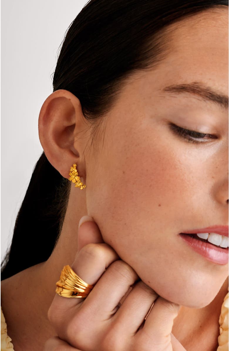 Katie Loxton Floramour Crawler Earrings, Alternate, color, Gold
