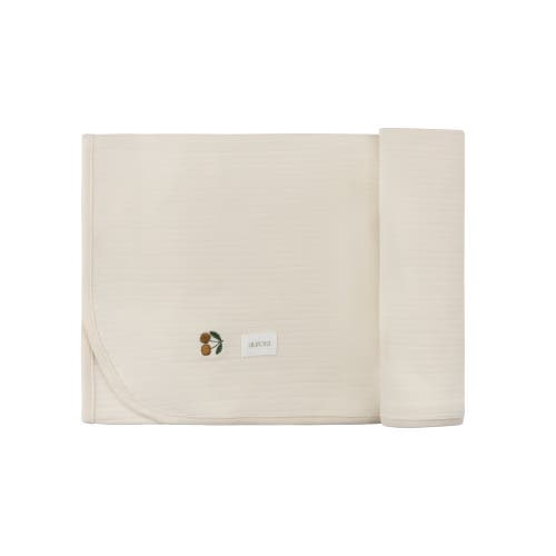 Ely's & Co. Aurora Classics Embroidered Cherry Print Collection In Multi