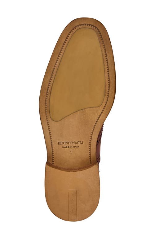 Bruno Magli Alfonso Wingtip Oxford In Brown