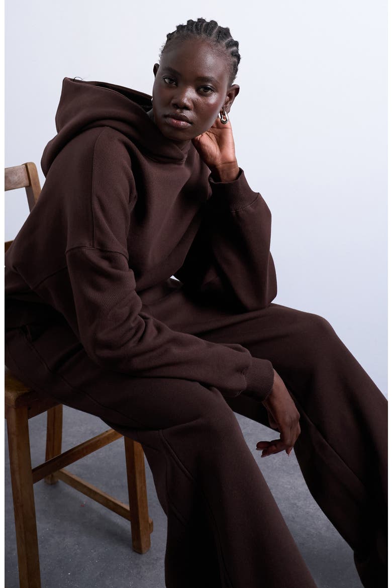 Heavyweight Oversize Hoodie, Alternate, color, BROWN