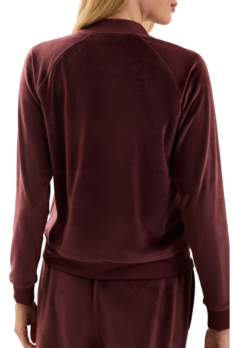 Velvet Bomber Jacket, Alternate, color, DEEP GARNET