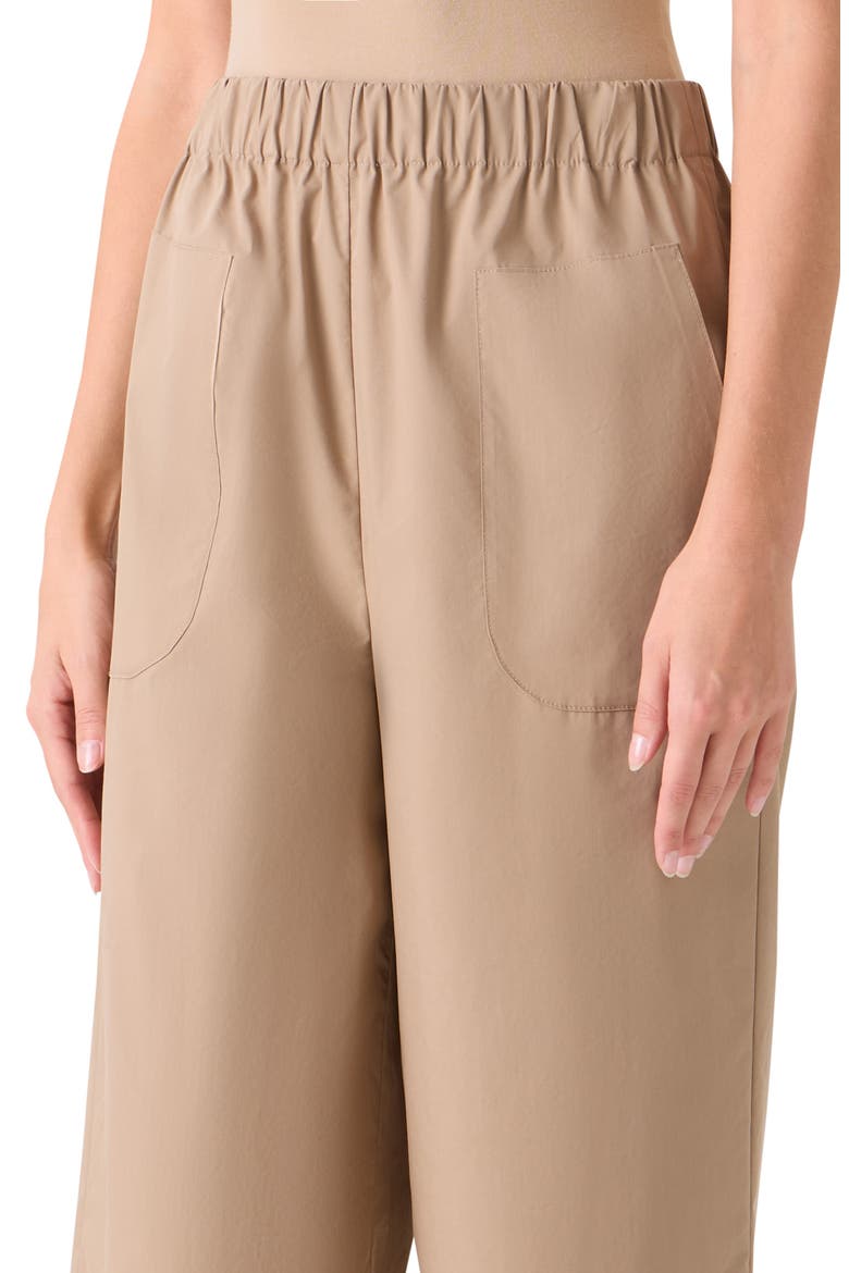 Frey Wide Leg Crop Tech Pants, Alternate, color, BEIGE