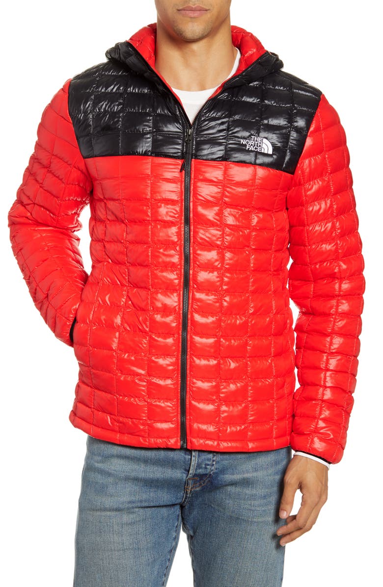 The North Face ThermoBall<sup>™</sup> Eco Hooded Parka, Alternate, color,