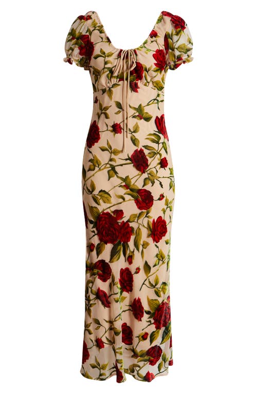 Rare London Rose Devoré Maxi Dress In Beige Multi