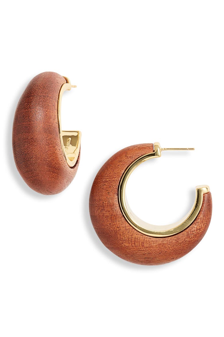 Moon Wood Hoop Earrings, Main, color, MAHOGANY