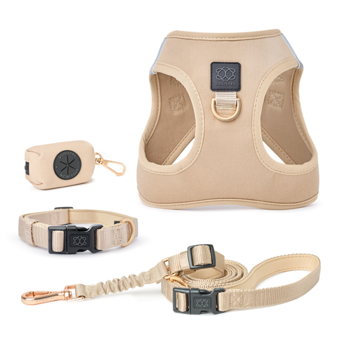 Soho Complete Dog Walking Set