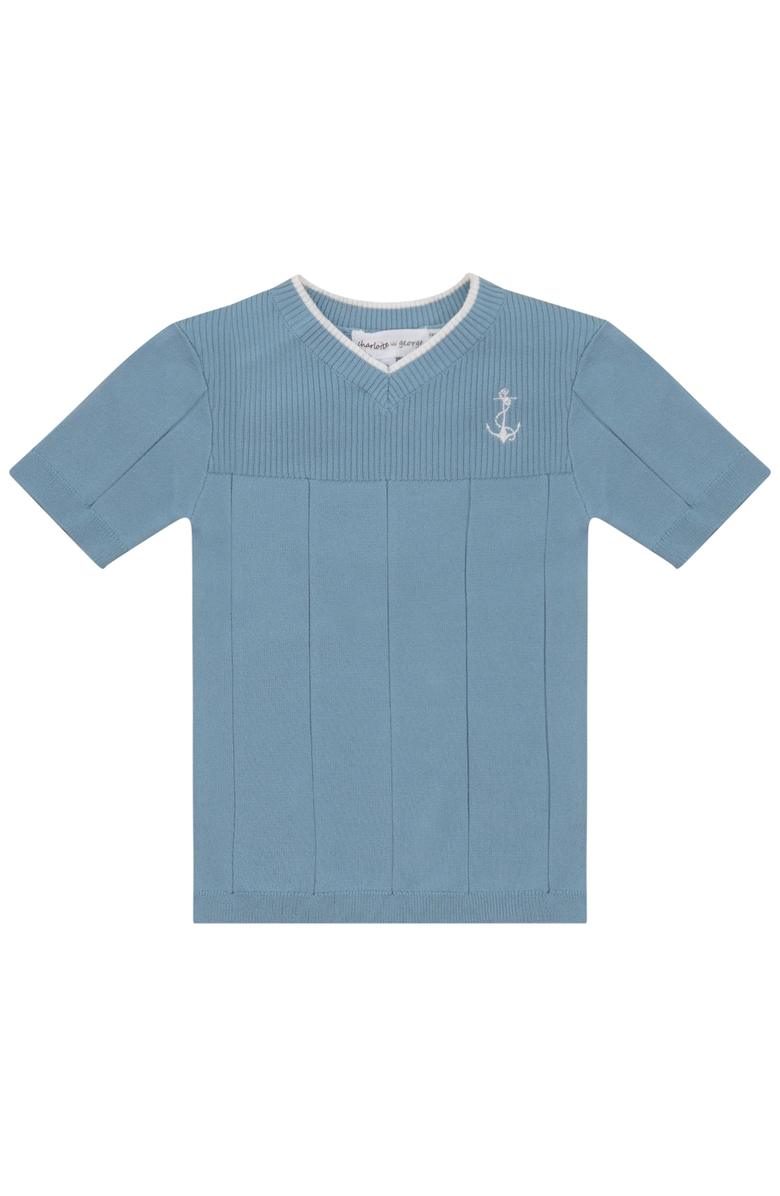 Charlotte & George Anchor Embroidered V-Neck T Shirt, Main, color, Seabrook