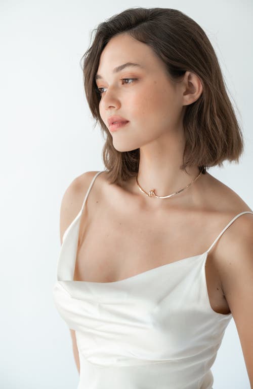 Albisia Eris Choker In 14k Gold Filled