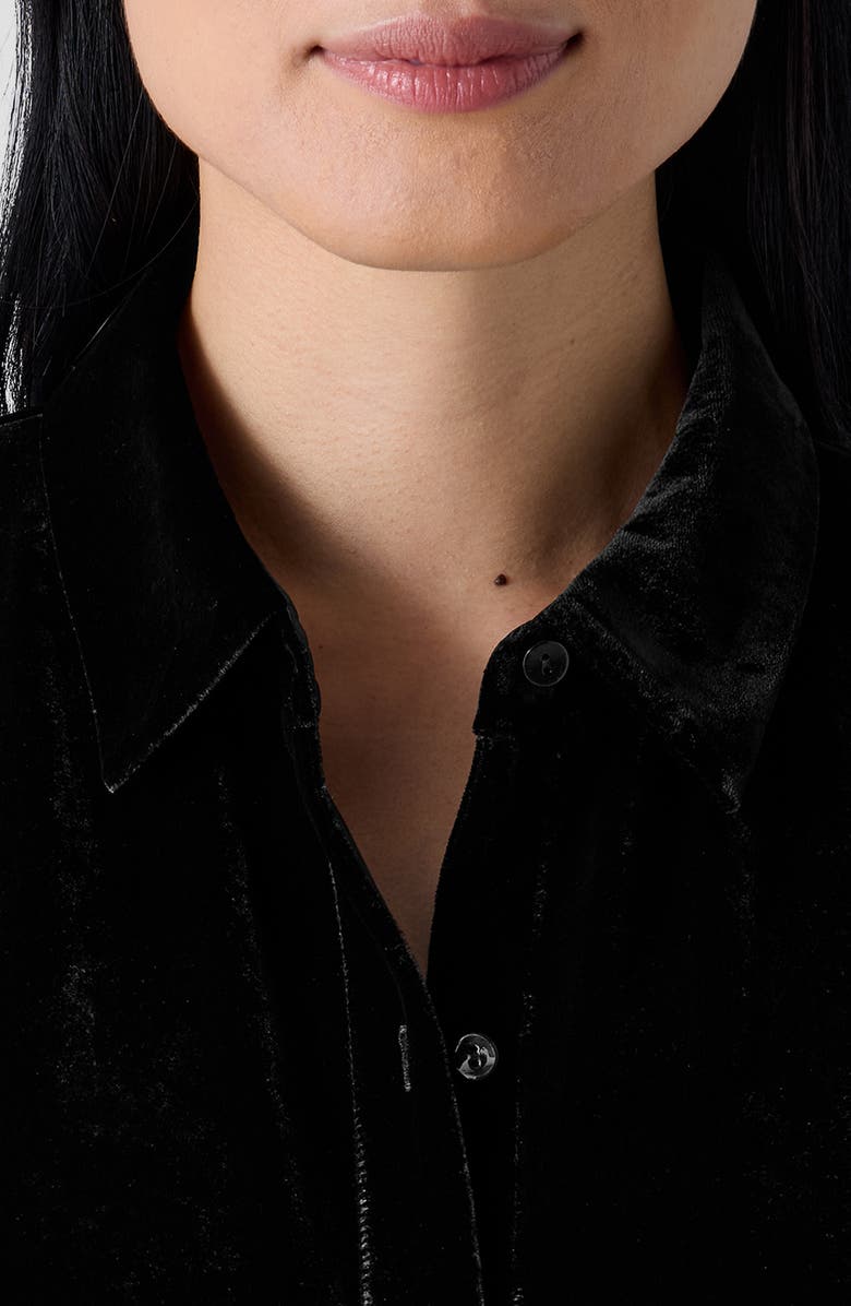 Eileen Fisher Classic Collar Easy Velvet Button-Up Shirt, Alternate, color, 