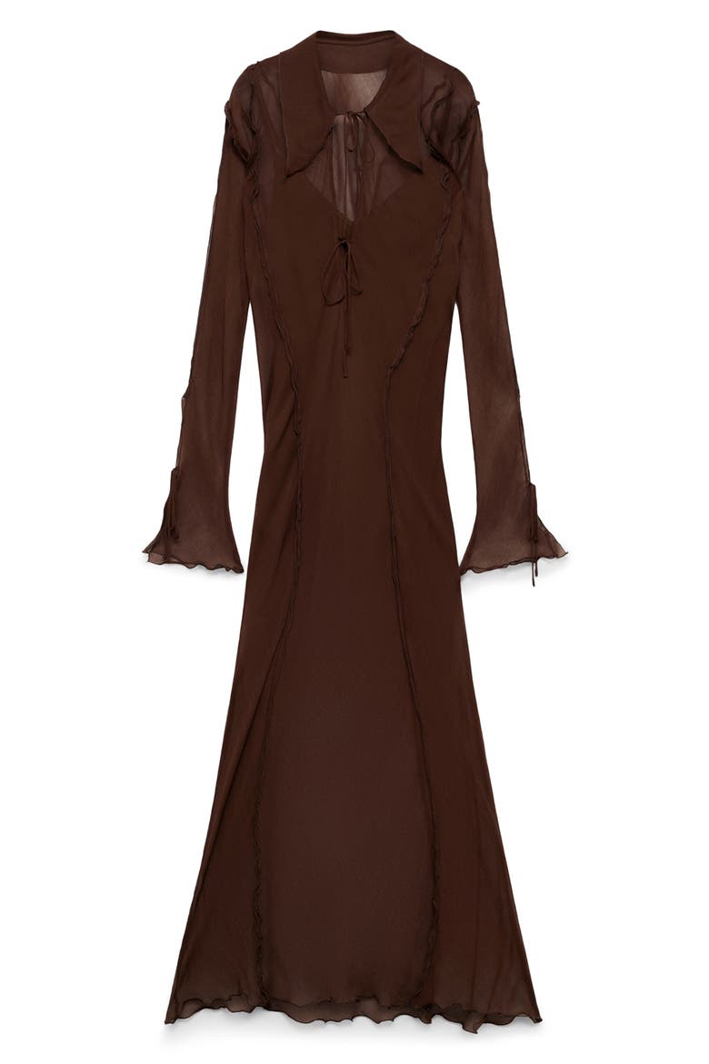 Claire Long Sleeve Sheer Maxi Dress, Alternate, color, BROWN