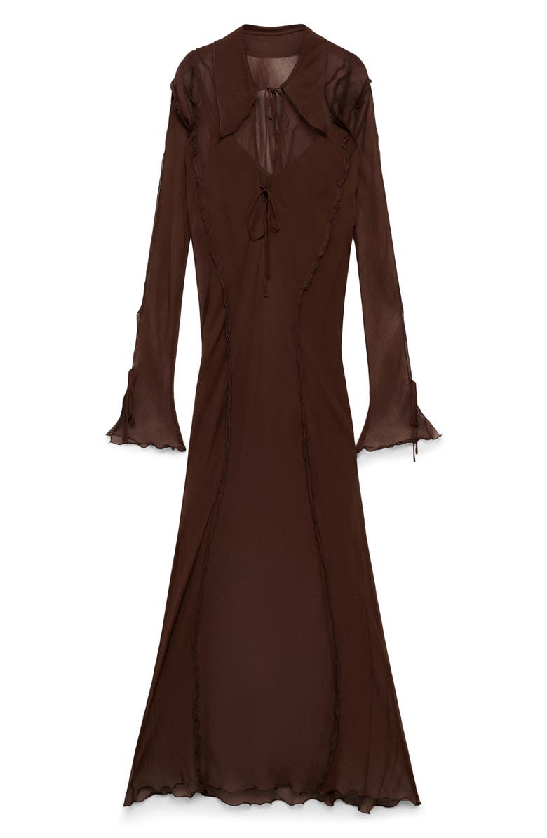 Claire Long Sleeve Sheer Maxi Dress