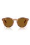 selected Striped Havana / Brown