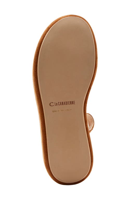 La Canadienne Kinsley Platform Ankle-strap Suede Sandals In Chestnut Suede