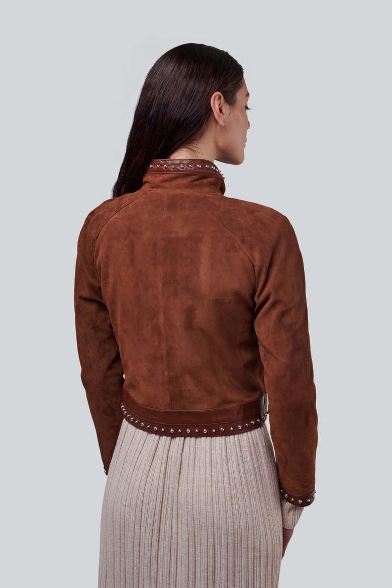 Harper Suede Studded Jacket, Alternate, color, Brown