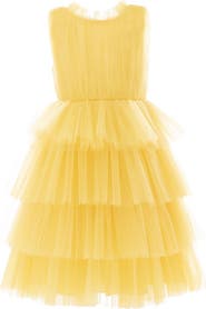 Tulleen Farvue Dress
