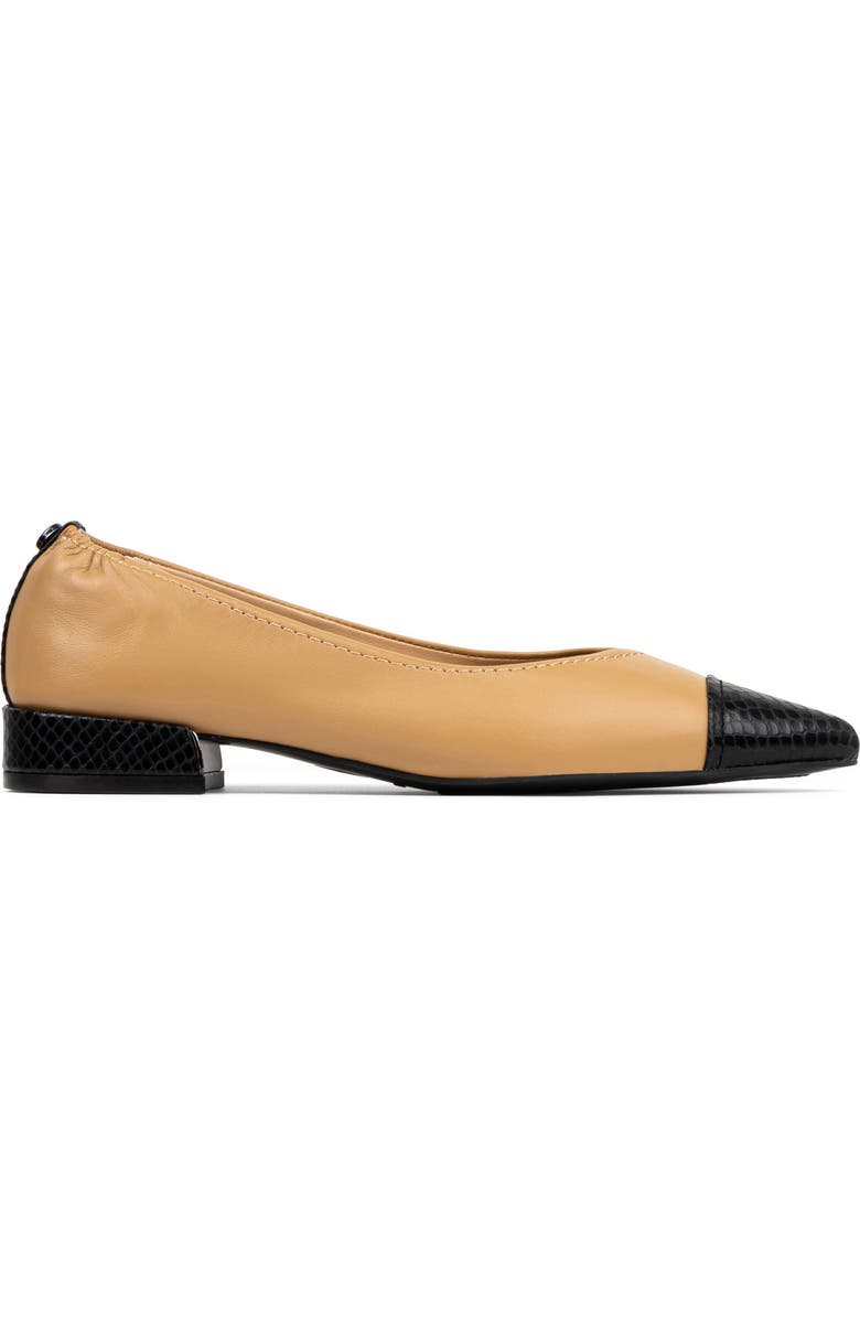 Donald Pliner Ladonna Pointed Toe Pump, Alternate, color, Black/ Camel