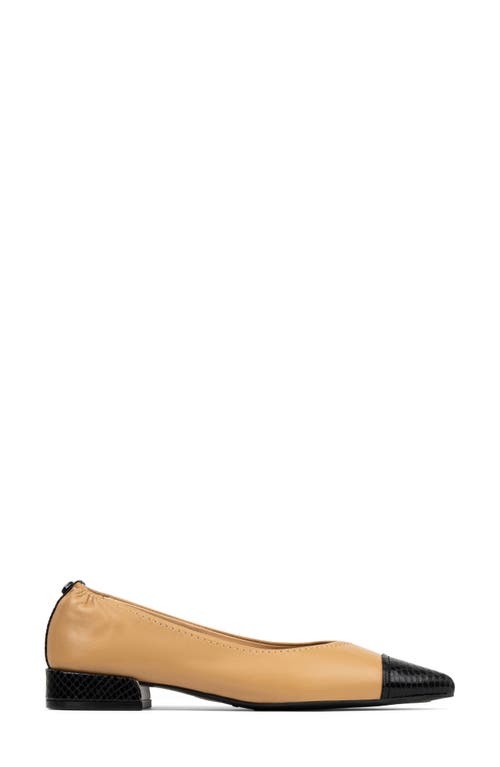 Donald Pliner Ladonna Pointed Toe Pump