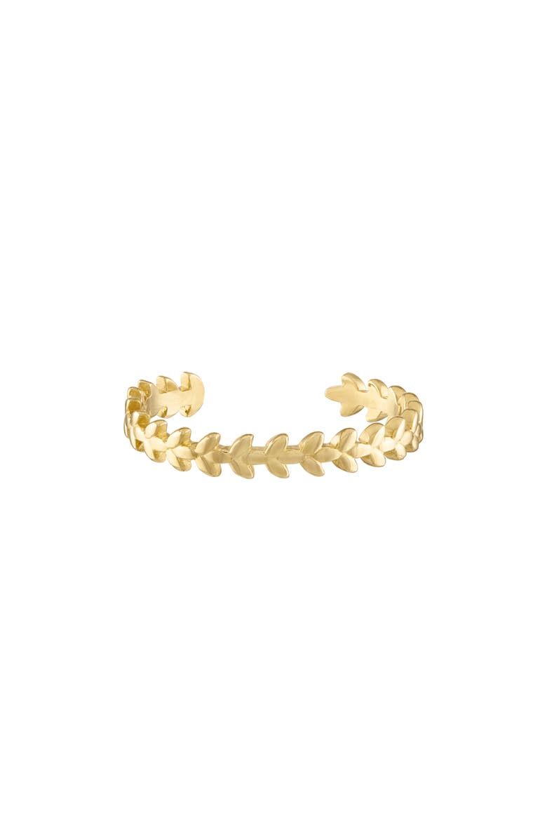 Raquelina Jewels 10K Gold Leaf Toe Ring, Main, color,